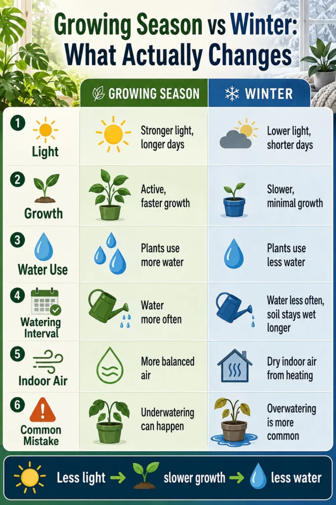 Infographic comparing growing-season and winter houseplant light, growth, water use, watering interval, and indoor air.